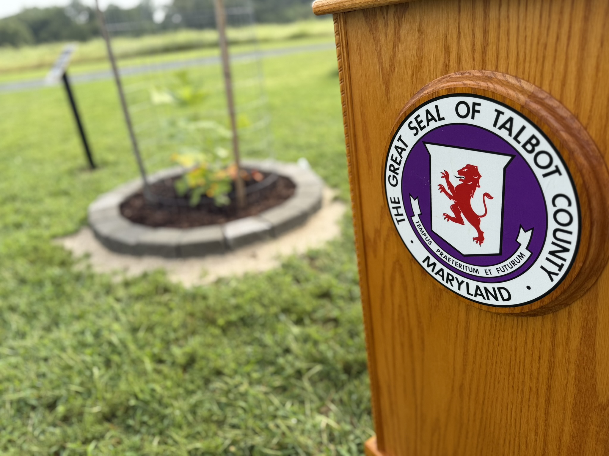 Liberty Tree Takes Root at Frederick Douglass Park on the Tuckahoe
